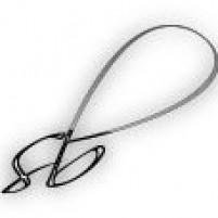 This image has an empty alt attribute; its file name is ext.jpeg